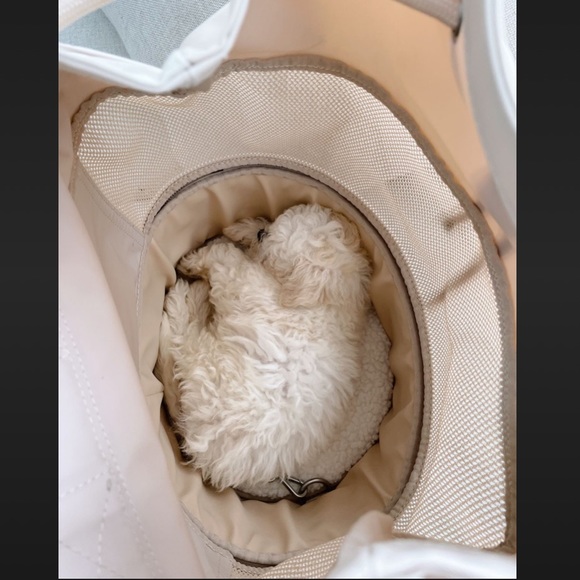 🐶 Maxbone Pet Dog Cat Carrier - Picture 4 of 7